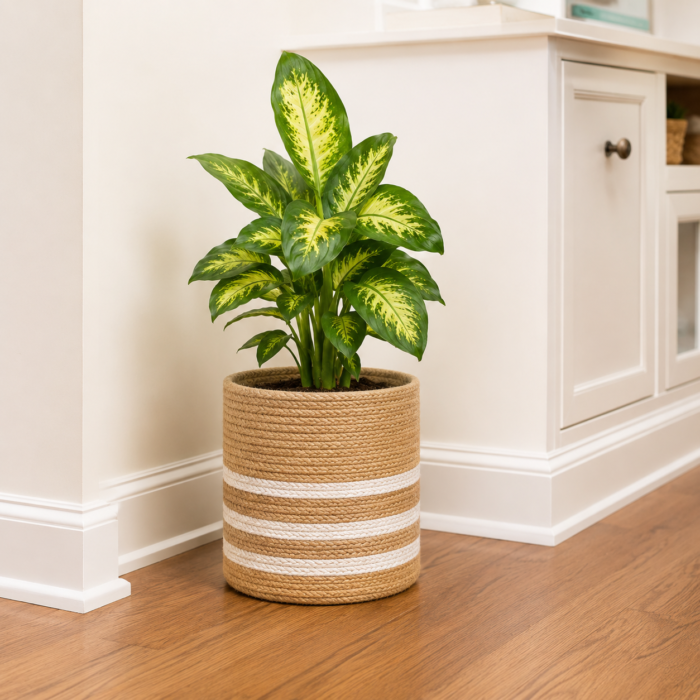 Handwoven Jute Planter Basket – Decorative Indoor Plant Holder