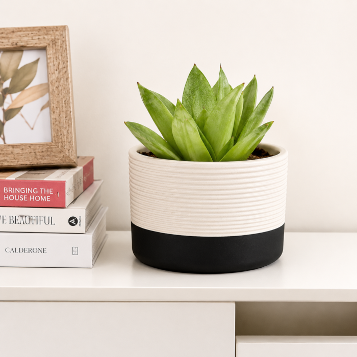 Modern Ribbed Ceramic Planter Pot – Black & White Decorative Indoor Plant Pot